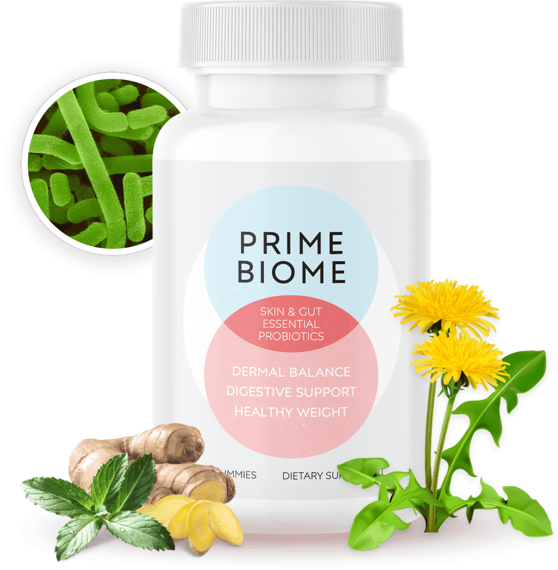 Skin & gut essential probiotics 